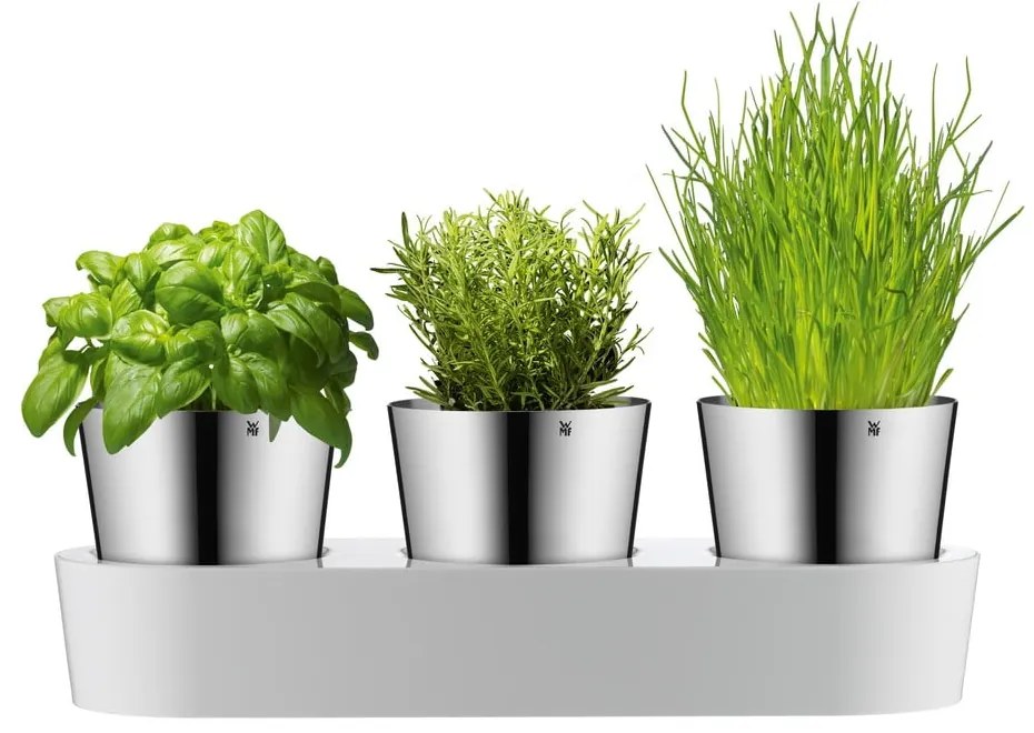 Súprava 3 antikoro kvetináčov na bylinky WMF Gourmet