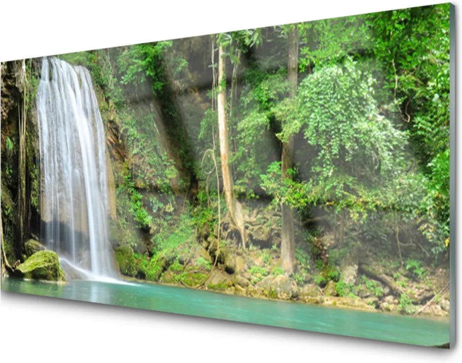 Skleněný obraz Vodopád Les Příroda