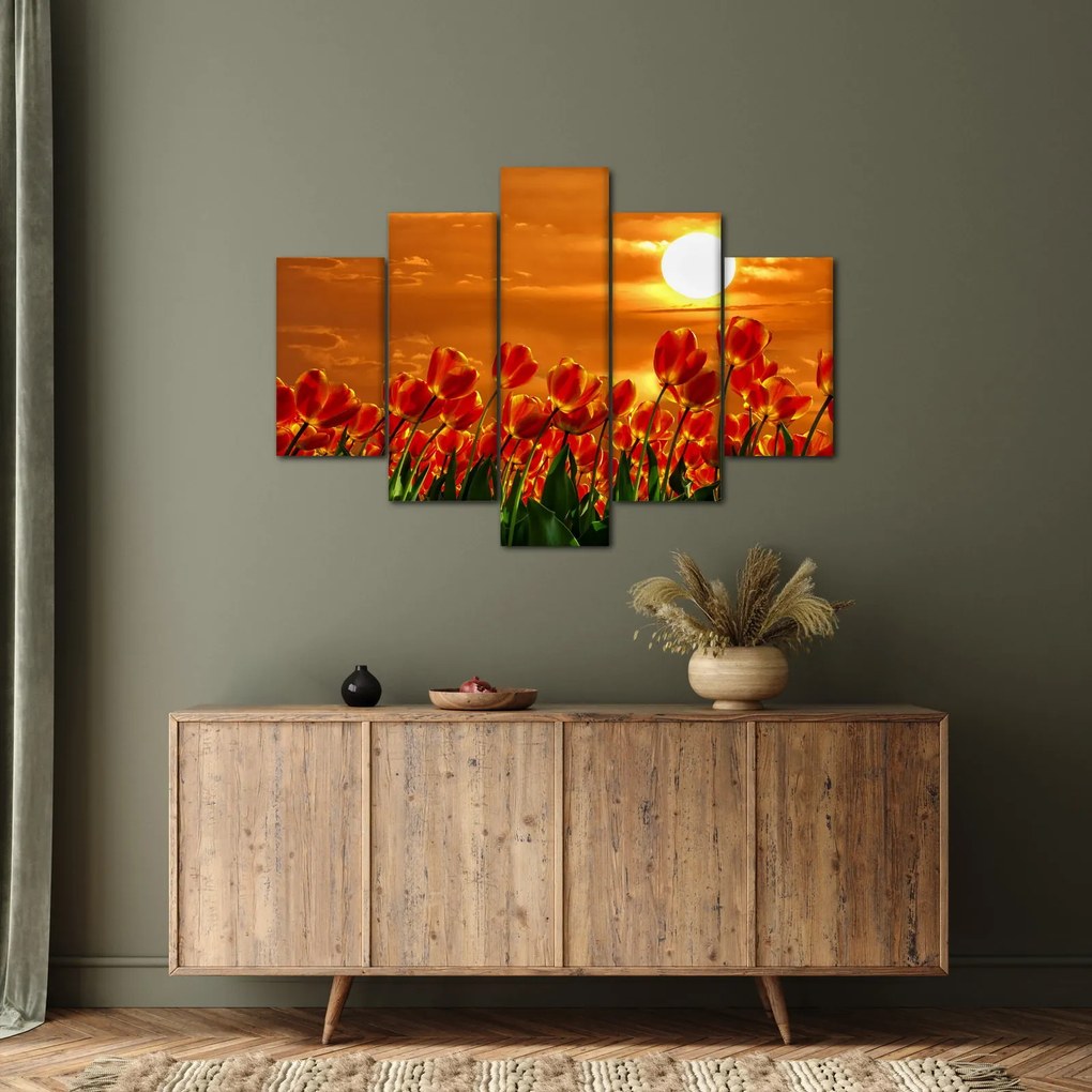 Obraz rozkvitnutého lánu s tulipánmi (150x105 cm)