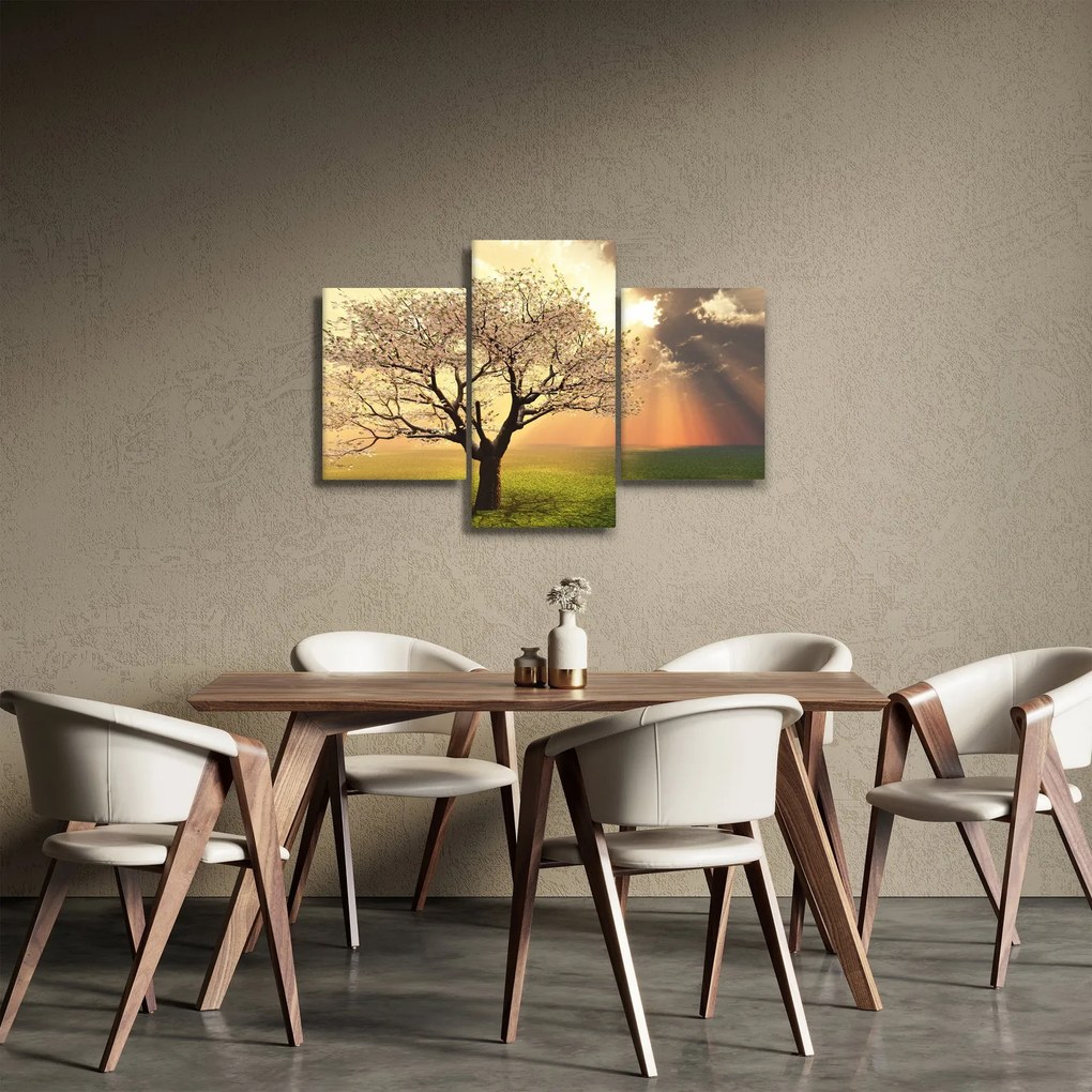 Obraz stromu na lúke (90x60 cm)