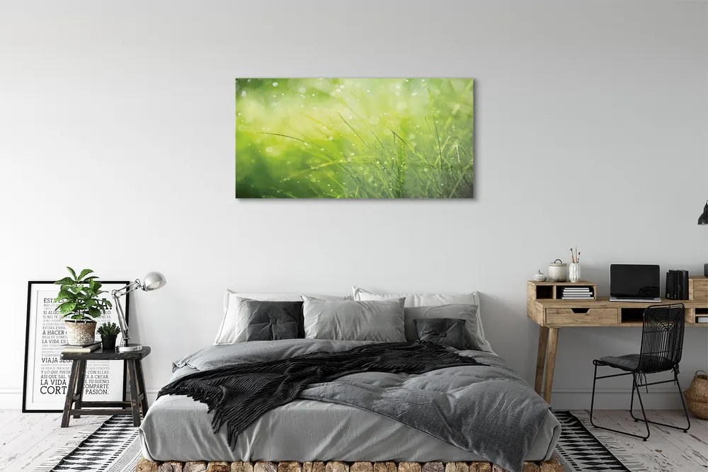 Obraz plexi Tráva kvapky rosy 125x50 cm