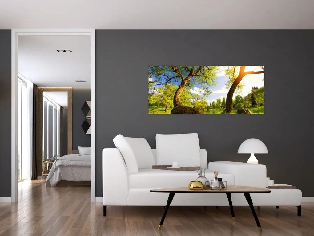 Obraz jarnej lúky (120x50 cm)