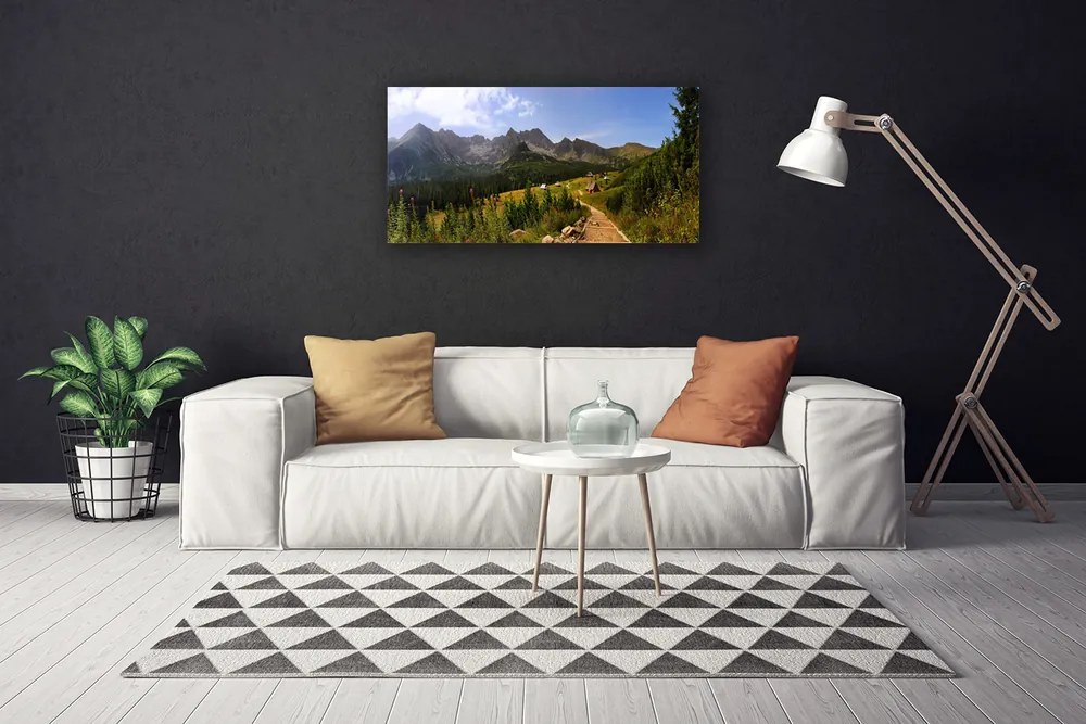 Obraz Canvas Hala góry droga natura łąka 140x70 cm