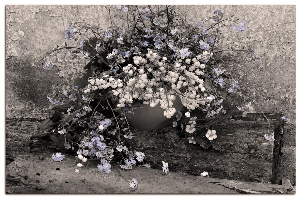 Obraz na plátne - Jarné zátišie  173FA (120x80 cm)