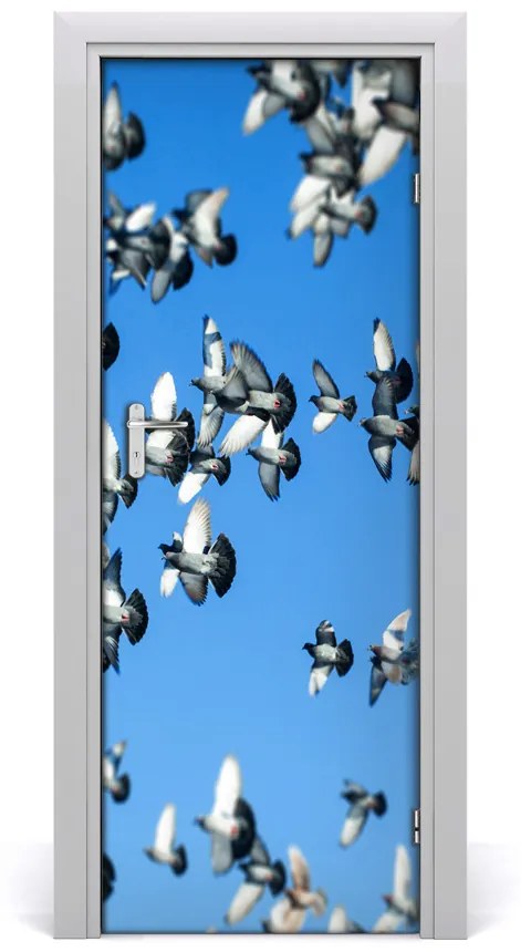 Fototapeta na dvere holuby na nebi 95x205 cm