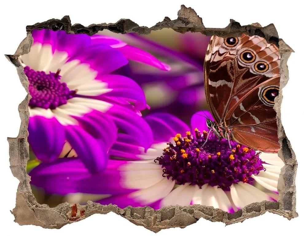 Samolepící díra na stěnu Motýľ na kvetine nd-k-84885251