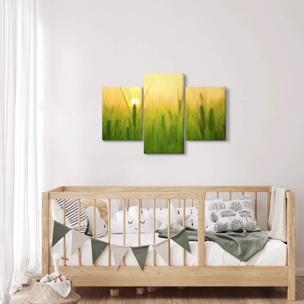 Obraz - Pole s obilím (90x60 cm)