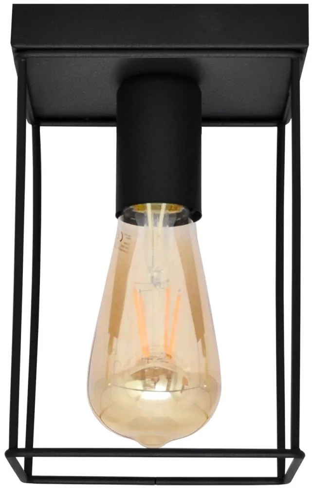 Stropné svietidlo FINN 1xE27/15W/230V čierna