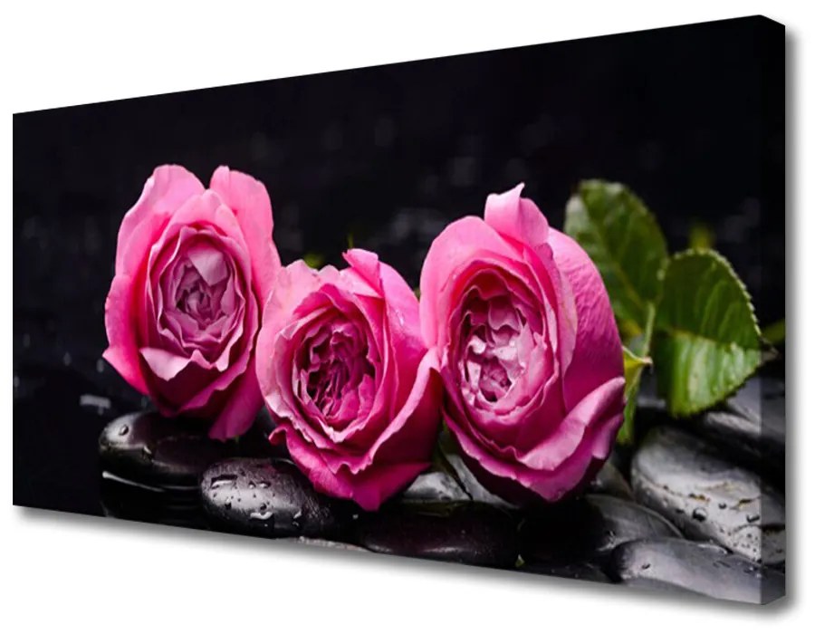 Obraz Canvas Ruže kamene zen kúpele príroda 140x70 cm