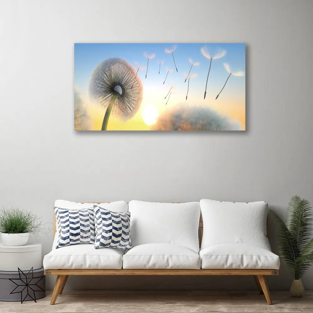 Obraz Canvas Púpava kvety 100x50 cm