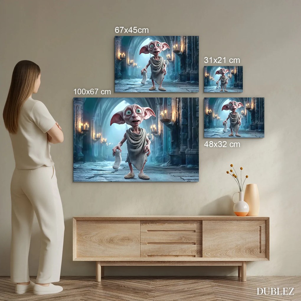 DUBLEZ | Drevený obraz z Harryho Pottera - Dobby