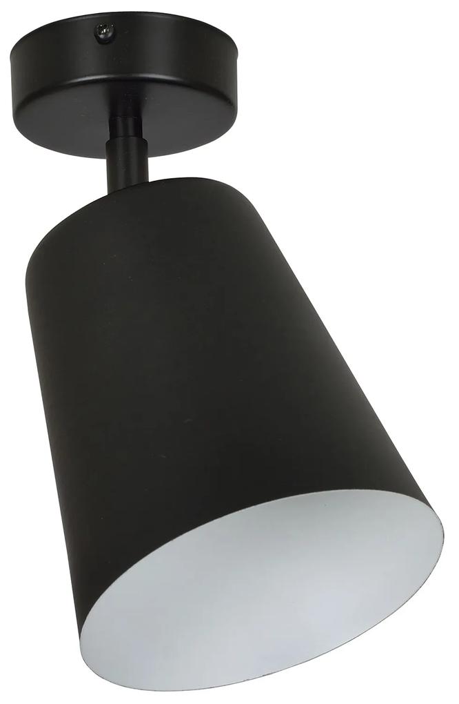 PRISM 1 | moderná stropná lampa Farba: Čierna/Biela