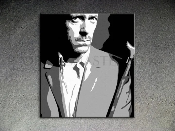 Ručne maľovaný POP Art obraz Dr. HOUSE | rôzne rozmery