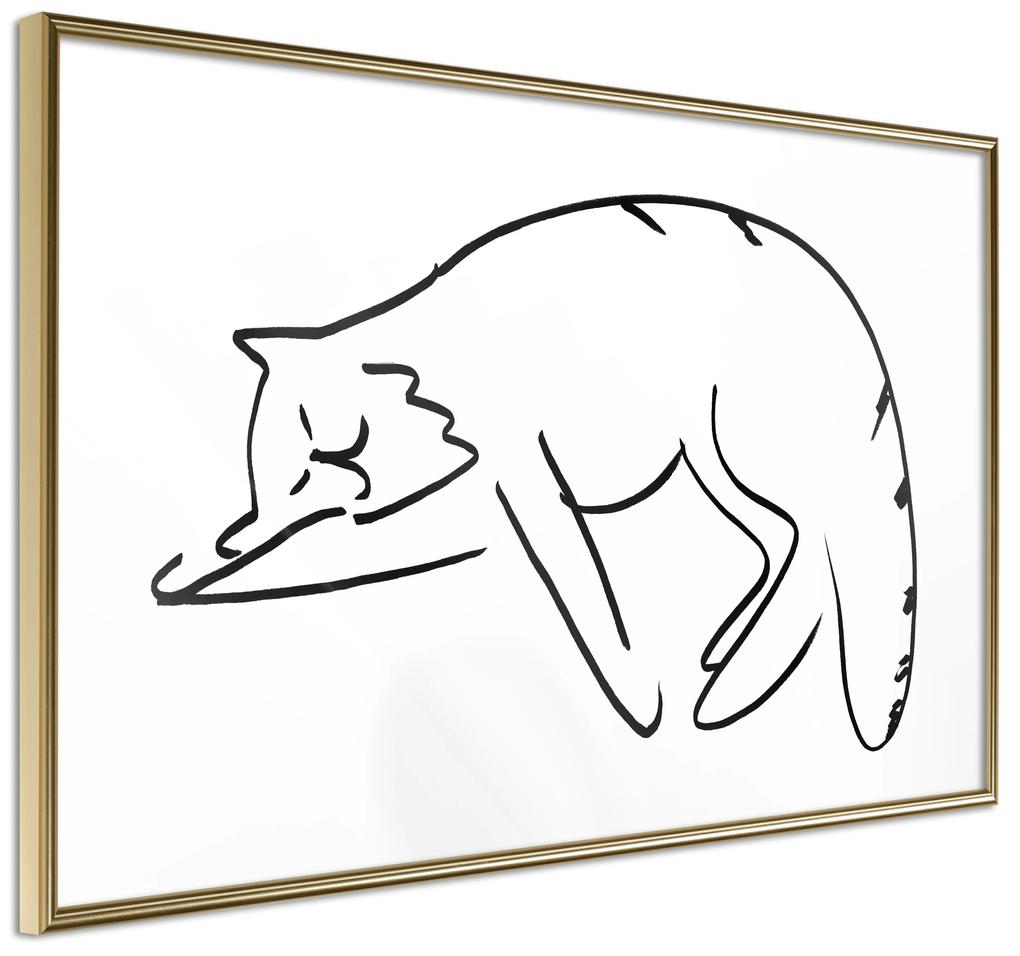 Artgeist Plagát - Cat's Dreams [Poster] Veľkosť: 30x20, Verzia: Zlatý rám s passe-partout