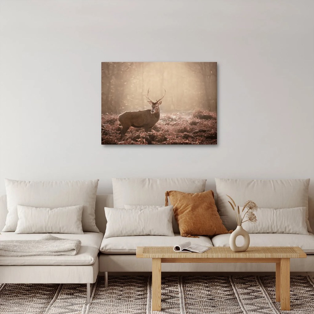 Obraz - Jeleň v lese (70x50 cm)