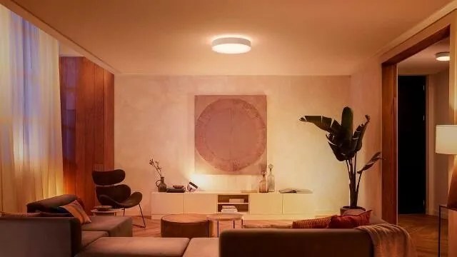 PHILIPS HUE Prisadené stropné LED inteligentné osvetlenie HUE ENRAVE s vypínačom, 33,5 W, teplá biela-studená bi