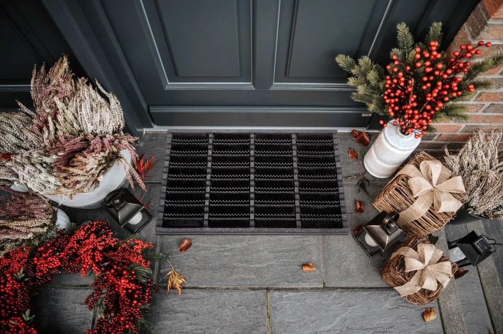 Hanse Home, Vonkajšie čistiaci rohožka Mix Mats Brushes 105648 Black – na von aj na doma, 40x60, čierna, exteriér