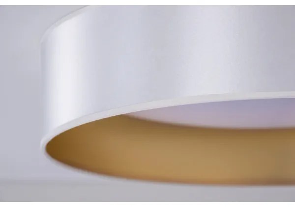 Duolla - LED Stropné svietidlo ROLLER LED/24W/230V pr. 45 cm strieborná/zlatá