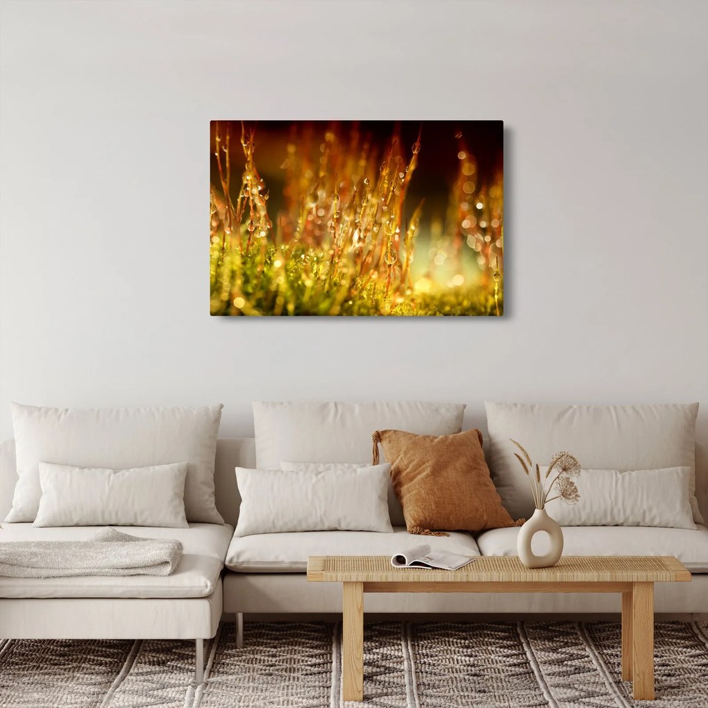 Obraz - Detail rosy (90x60 cm)