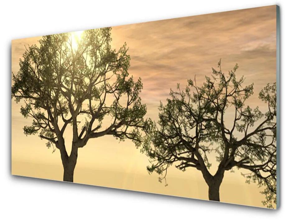 Obraz na skle Stromy príroda 125x50 cm