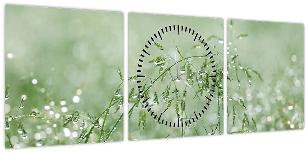 Obraz - Rosa v tráve (s hodinami) (90x30 cm)