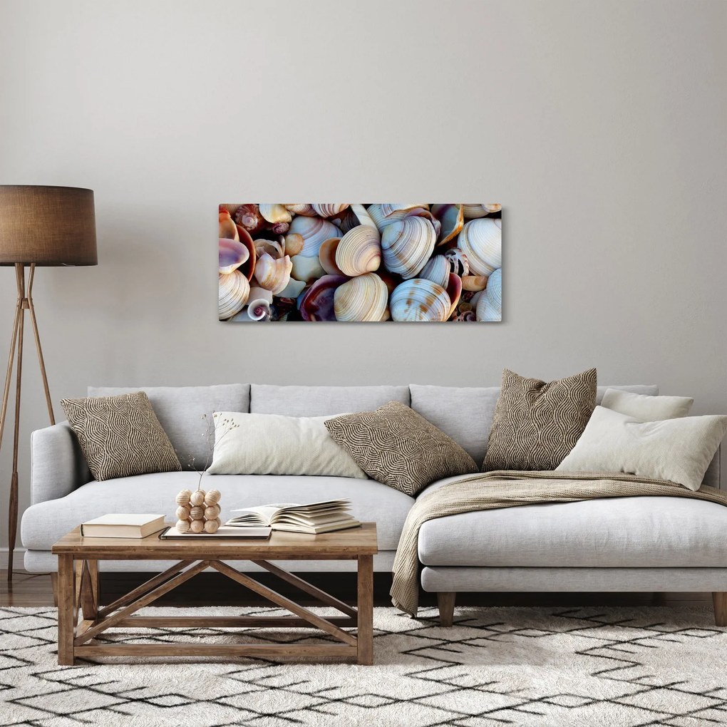 Obraz mušlí (120x50 cm)
