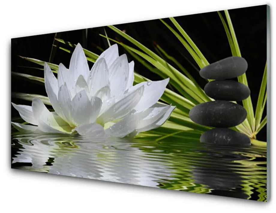 Skleneny obraz Kvety kamene zen voda 140x70 cm