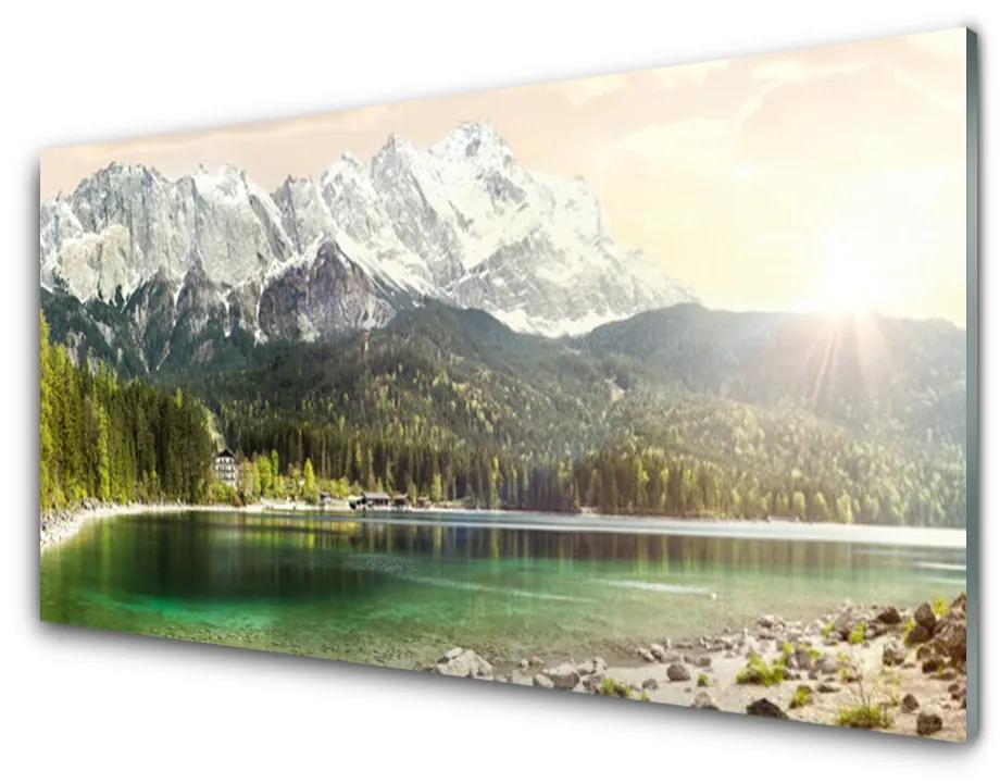 Obraz plexi Hory les jazero príroda 100x50 cm
