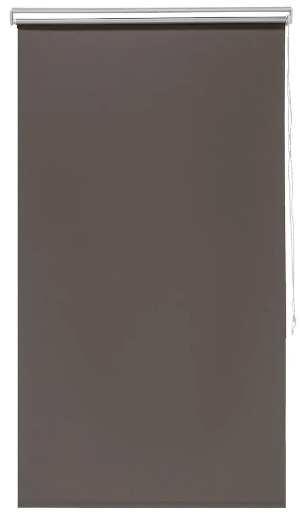 Termo roleta na okná (90 x 150 cm, hnedosivá) (100324821)