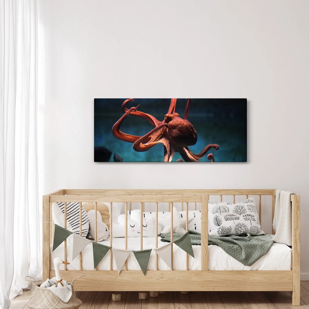 Obraz - Chobotnica (120x50 cm)