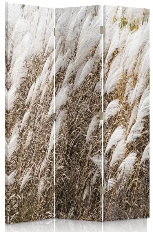 Gario Paraván Pampová tráva Rozmery: 145 x 170 cm, Prevedenie: Klasický paraván
