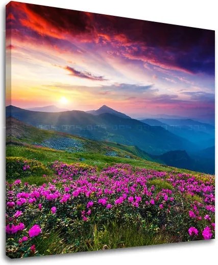 Obraz na stenu SLOVENSKO