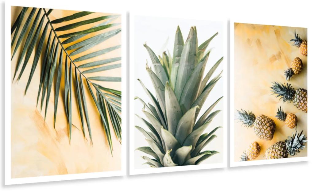 Gario Sada plagátov Tropický raj - 3 dielna Farba rámu: Bez rámu, Rozmery: 99 x 45 cm
