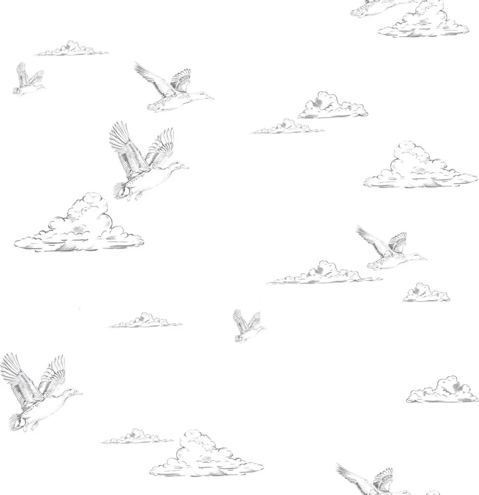 Tapeta kačice na oblohe biela 280×50 cm