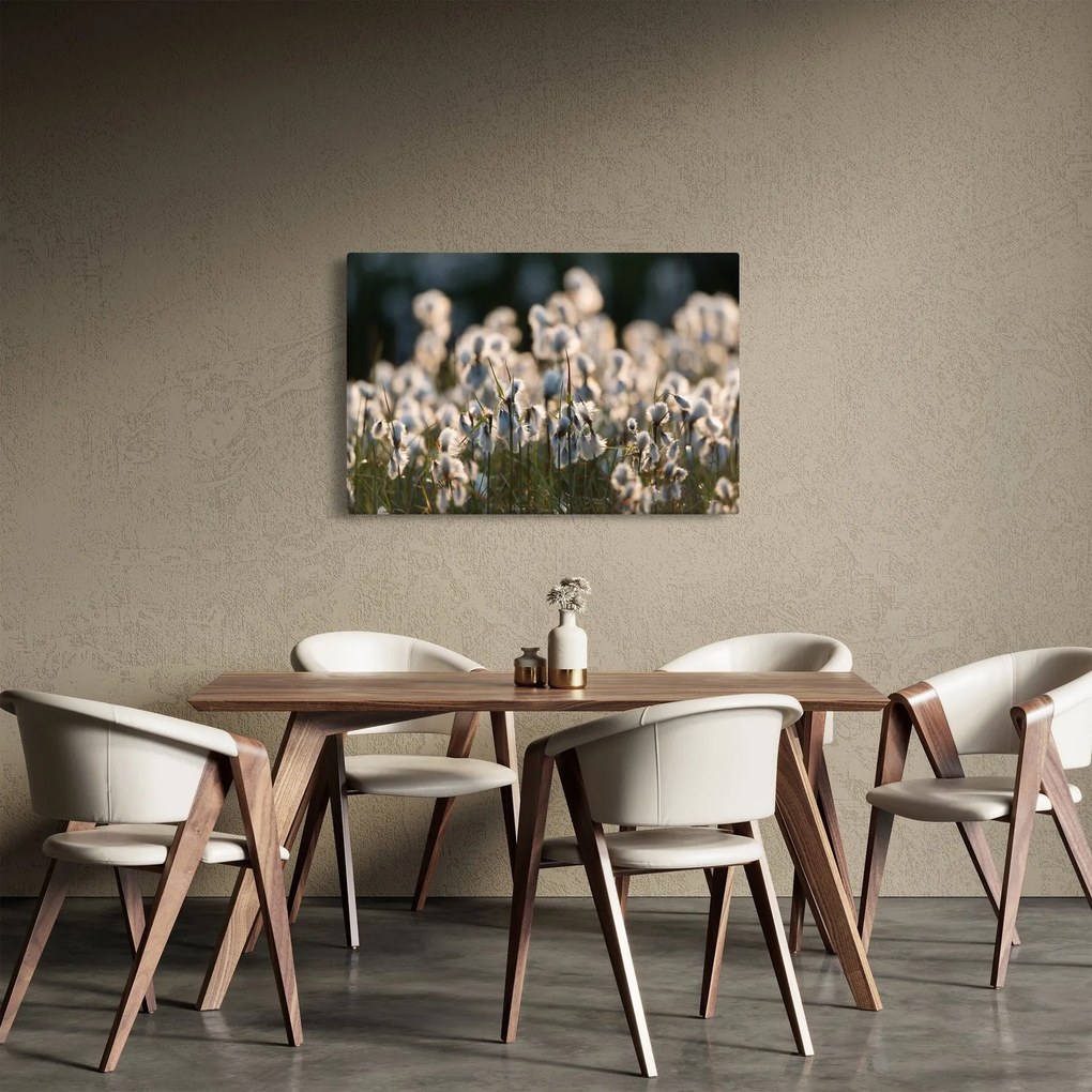 Obraz - Biely páperník (90x60 cm)