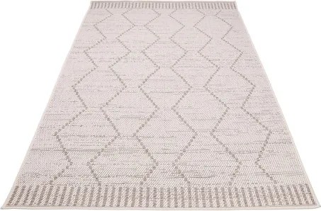 Koberec FLORA 50007 D9TI