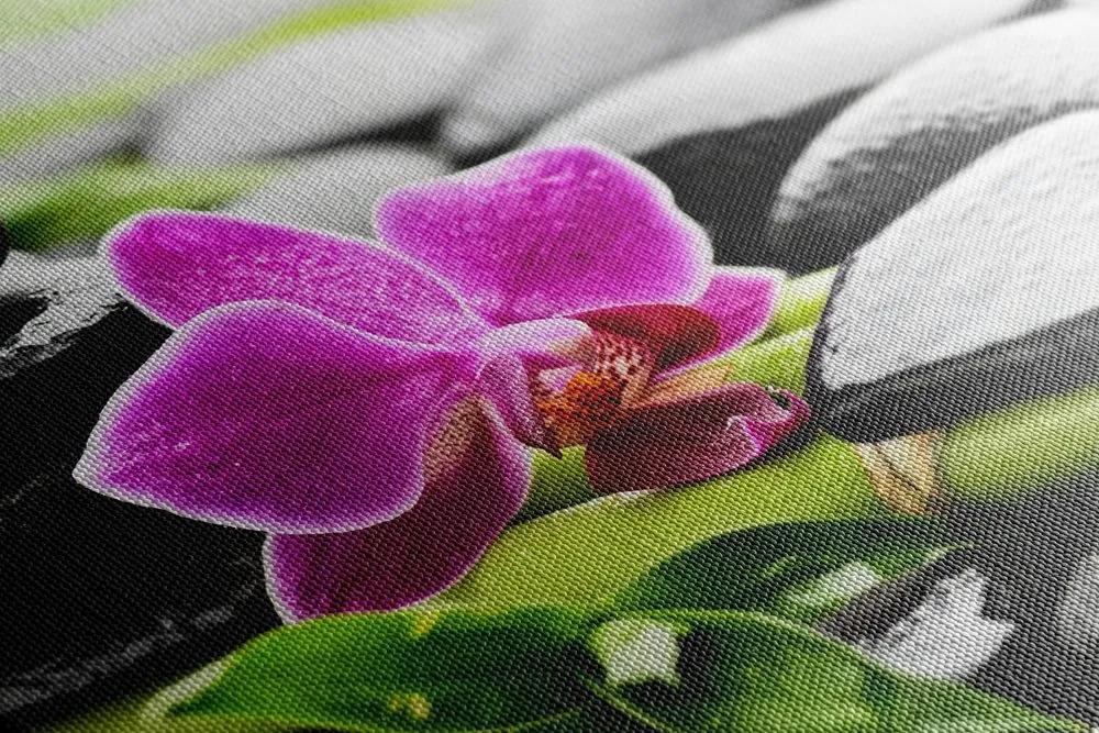 Obraz wellnes zátišie po daždi s nádhernou orchideou