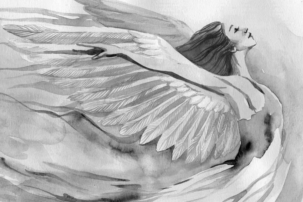 Obraz slobodný anjel v čiernobielom prevedení Varianta: 120x80