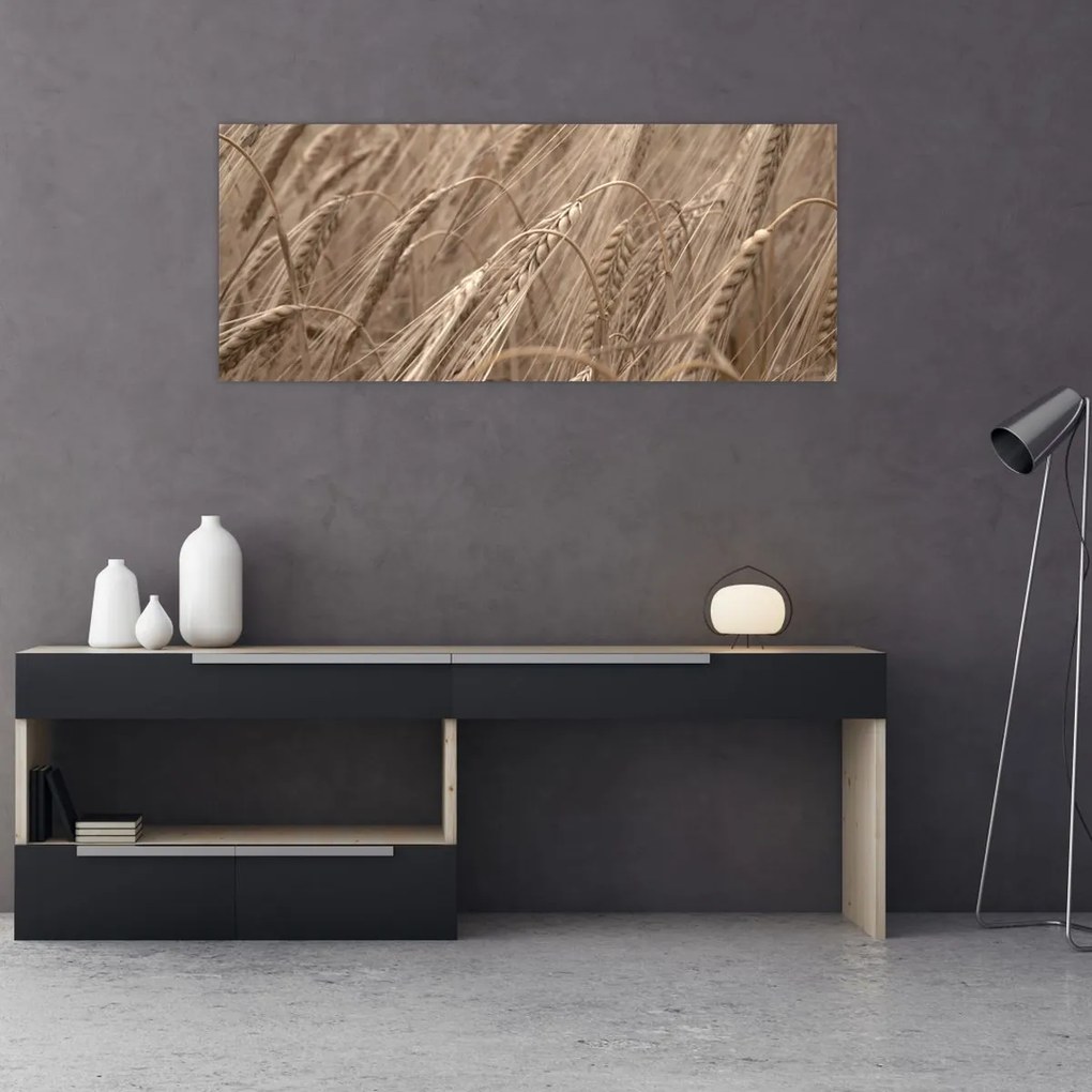 Obraz - Zlaté pole (120x50 cm)