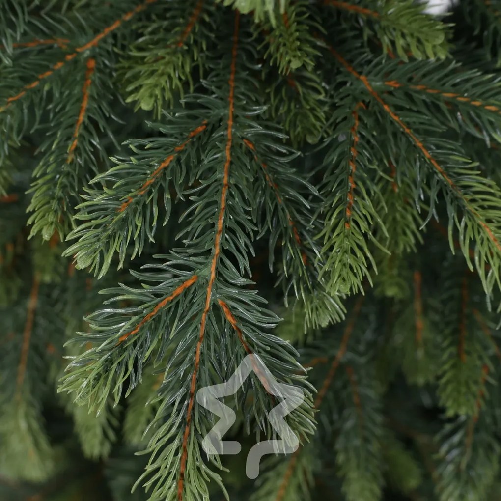 Smrek Natura 210 cm