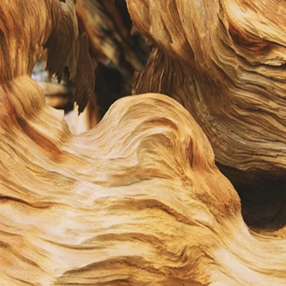 Gario Paraván Vlnitá abstrakcia s drevom Rozmery: 180 x 170 cm, Prevedenie: Otočný paraván 360°