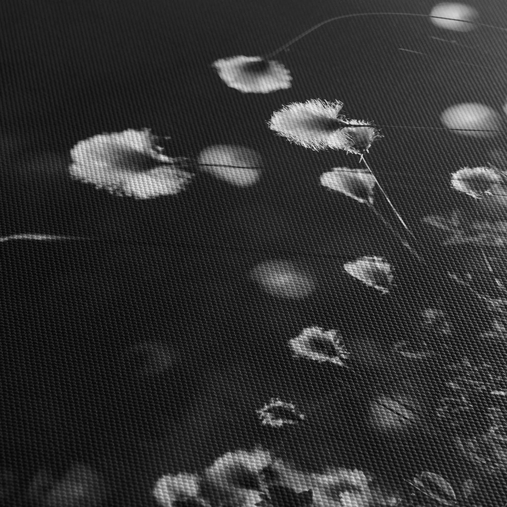 Obraz - Lúka s cottongrass N⁰1 (90x60 cm)