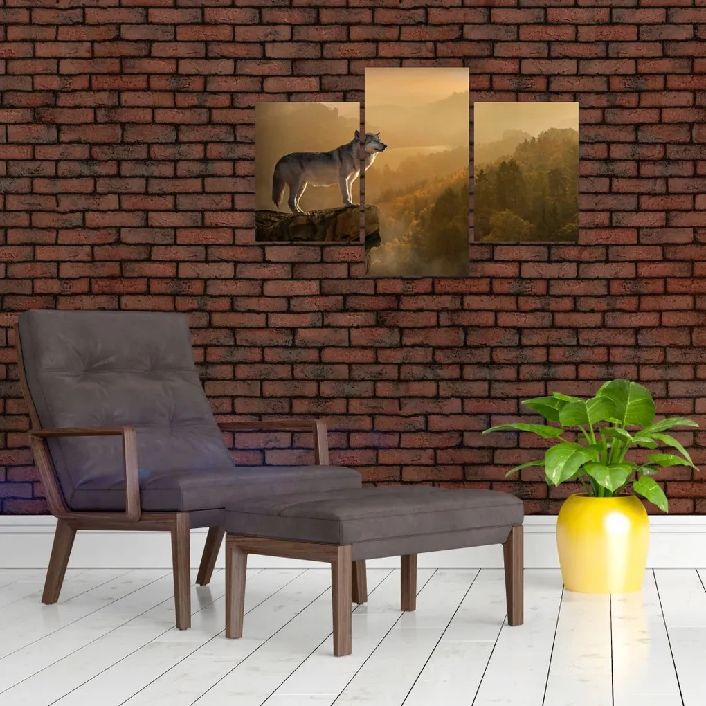 Obraz vlka na skale (90x60 cm)