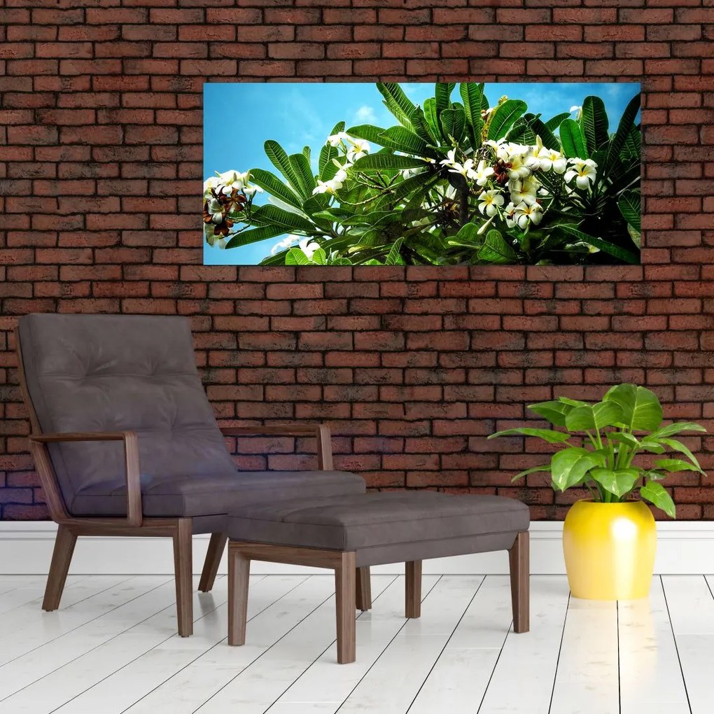 Obraz - Plumeria (120x50 cm)