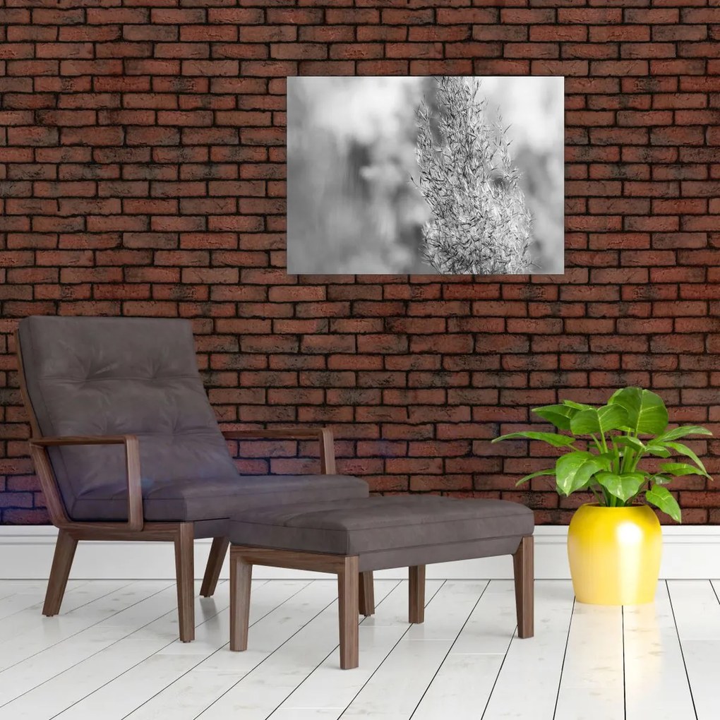 Sklenený obraz - Boho pampas grass (70x50 cm)