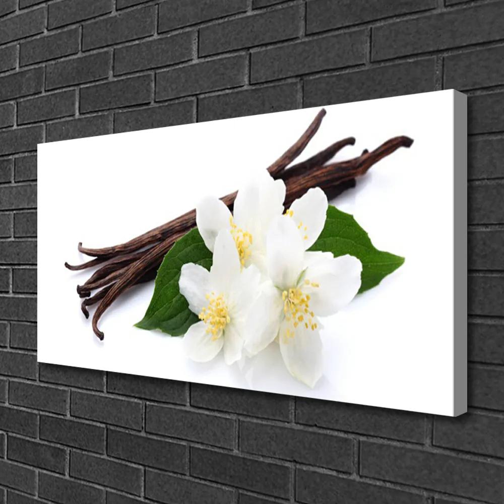 Obraz Canvas Tyčinka vanilky do kuchyne 125x50 cm