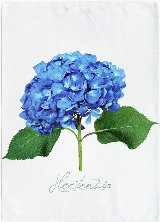 Keprová utierka HORTENZIA MODRÁ 50 x 71 cm
