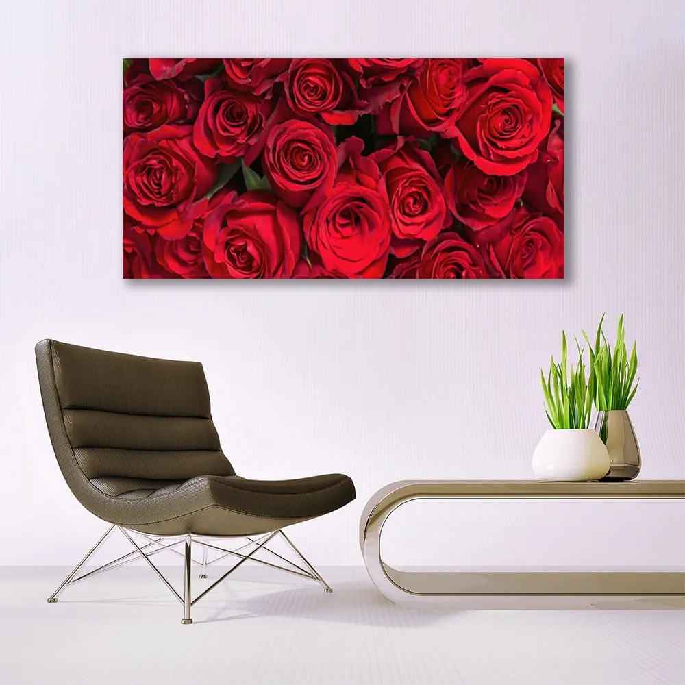 Obraz plexi Červené ruže kvety príroda 120x60 cm