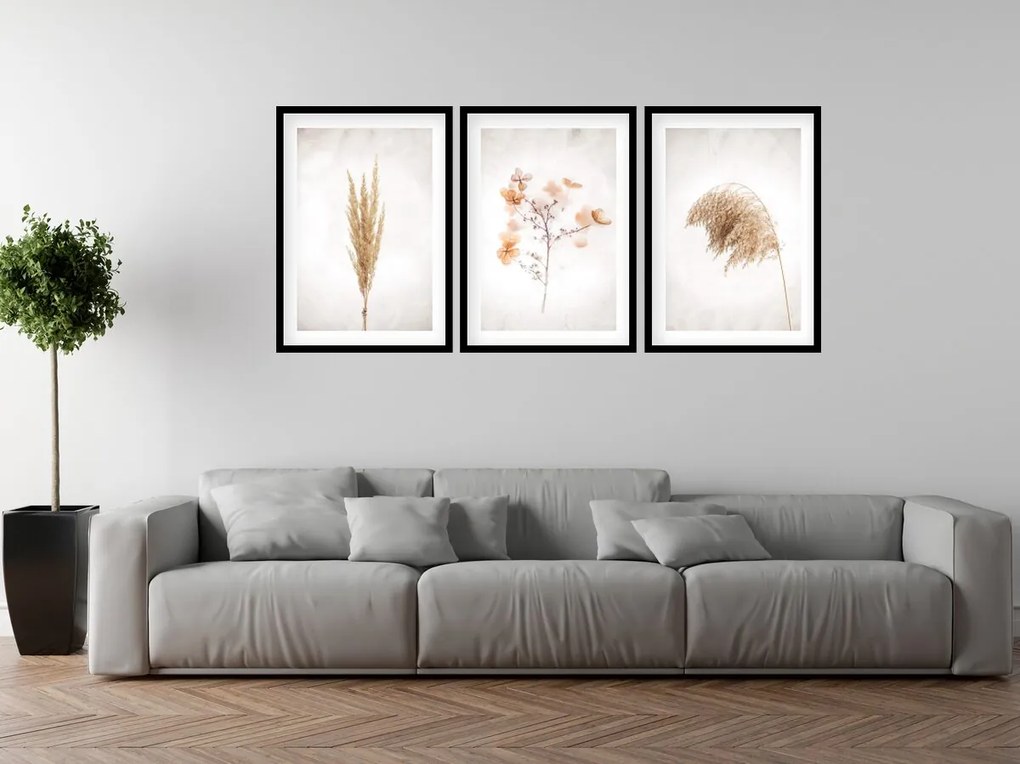 Gario Sada plagátov Dry nature - 3 dielna Farba rámu: Bez rámu, Rozmery: 99 x 45 cm