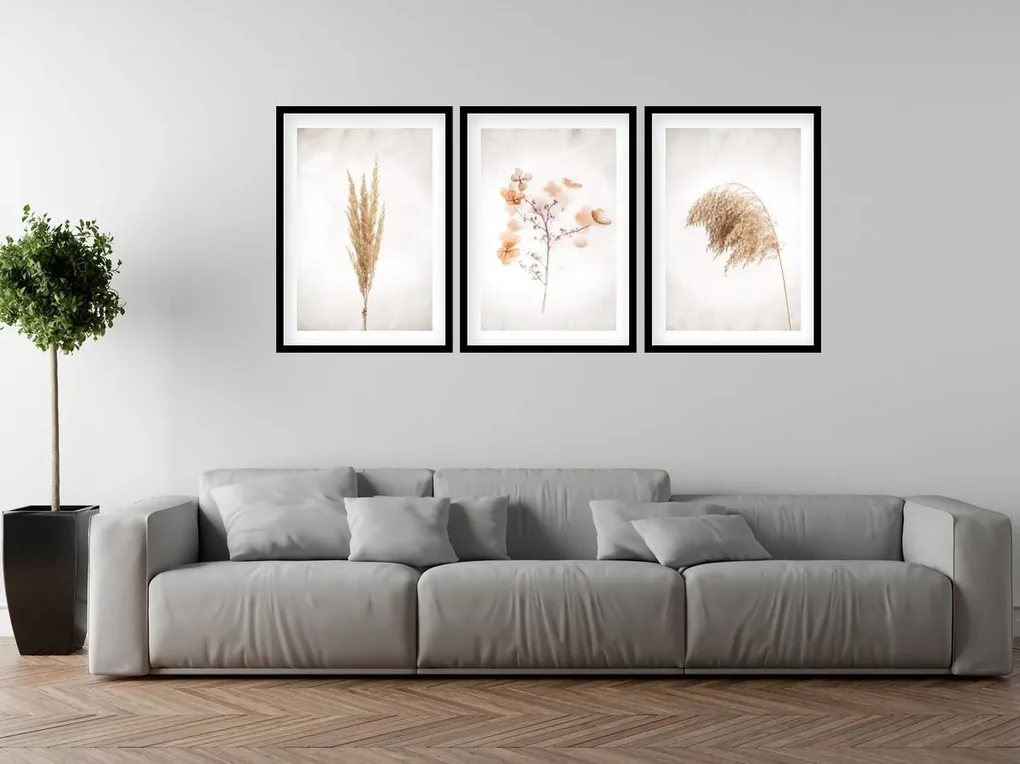 Gario Sada plagátov Dry nature - 3 dielna Farba rámu: Zlatá, Rozmery: 99 x 45 cm